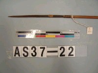 藏品(單鏃木箭)的圖片